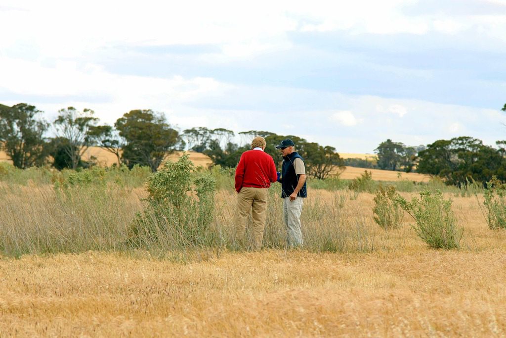 farming