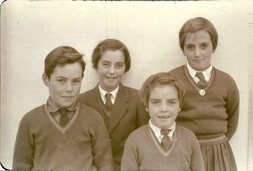 Halpin family