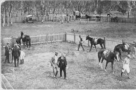 Katanning Turf Club