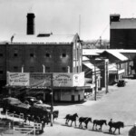 104102PD: Premier Roller Flour Mills in Katanning, ca. 1920?
State Library of Western Australia