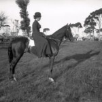 229283PD: The prize lady's hack ridden by Miss Tunney at the Wagin Show, 30 October 1912. Dorris won first prize for lady's hack at the Perth Royal Show.
State Library of Western Australia